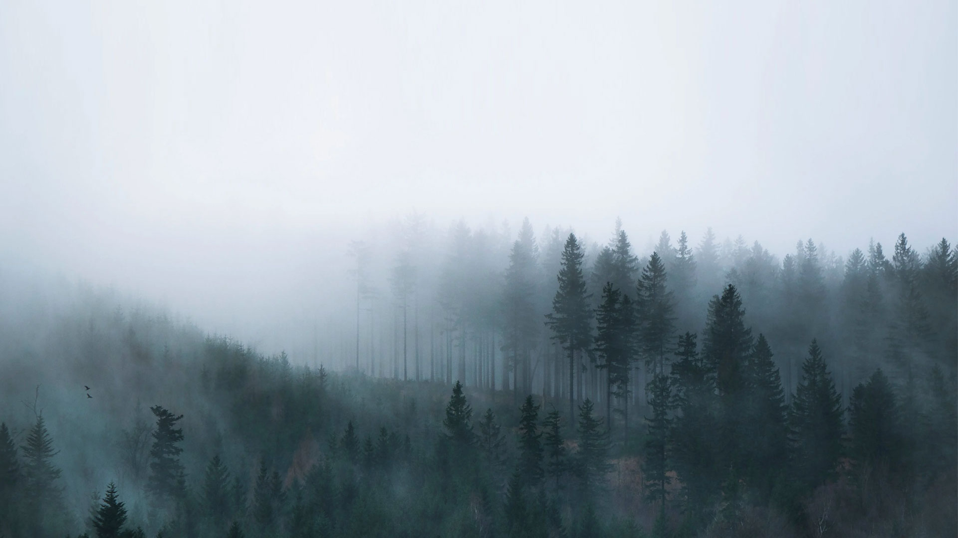 banner5